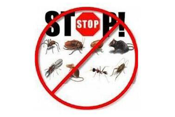 襄汾有害生物防治方法