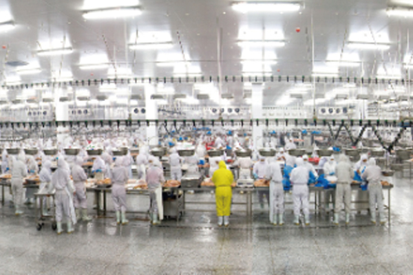 襄汾生产制造企业专业虫害管理